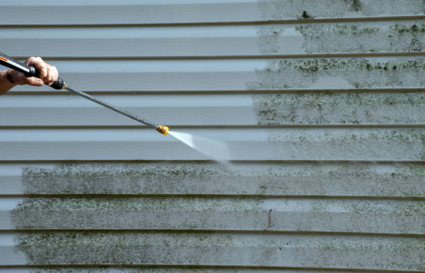 Best Brick and Stone Cleaning in USA